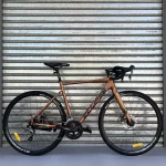 Ruta 1