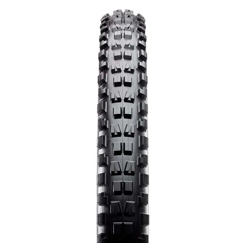 Minion-DHF-Plus-tread-576x1201-f126cab-2.jpg